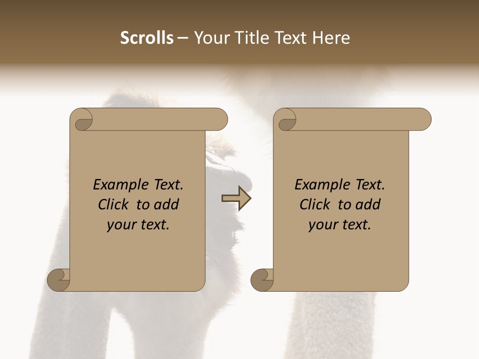 Curiosity Closeup Antilles PowerPoint Template