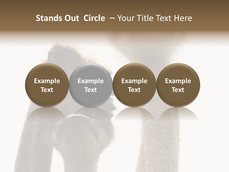 Curiosity Closeup Antilles PowerPoint Template