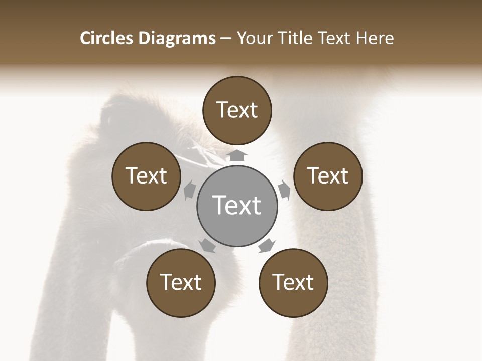 Curiosity Closeup Antilles PowerPoint Template