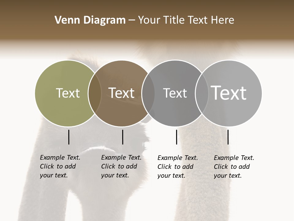 Curiosity Closeup Antilles PowerPoint Template