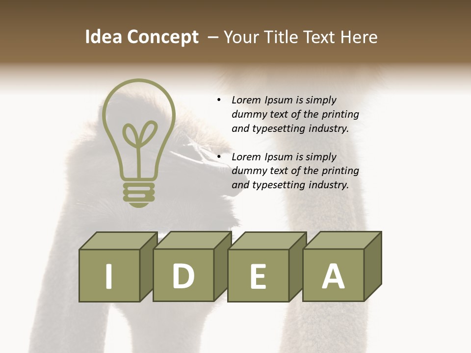 Curiosity Closeup Antilles PowerPoint Template