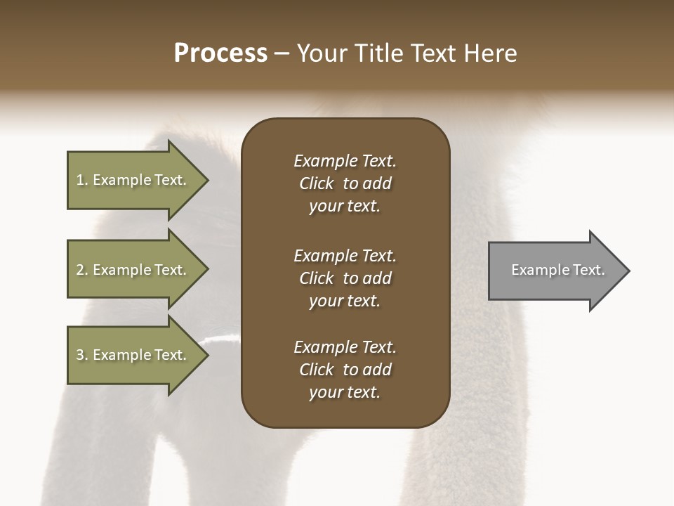Curiosity Closeup Antilles PowerPoint Template