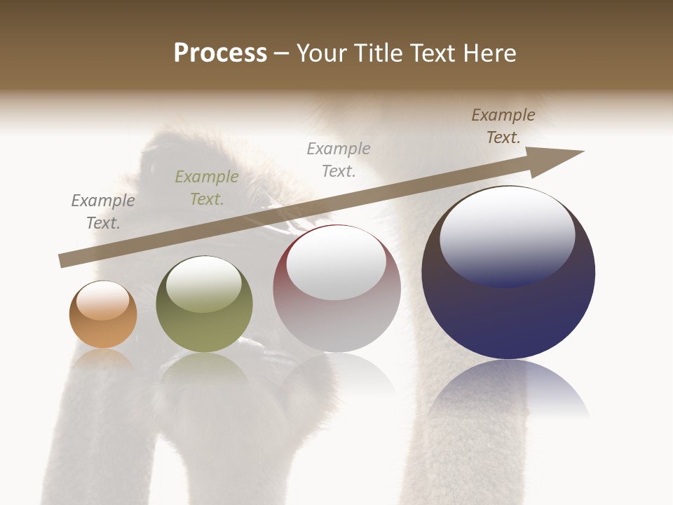 Curiosity Closeup Antilles PowerPoint Template