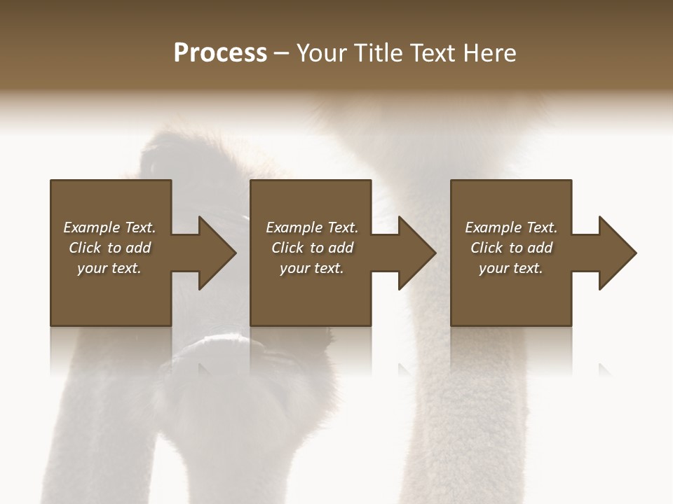 Curiosity Closeup Antilles PowerPoint Template