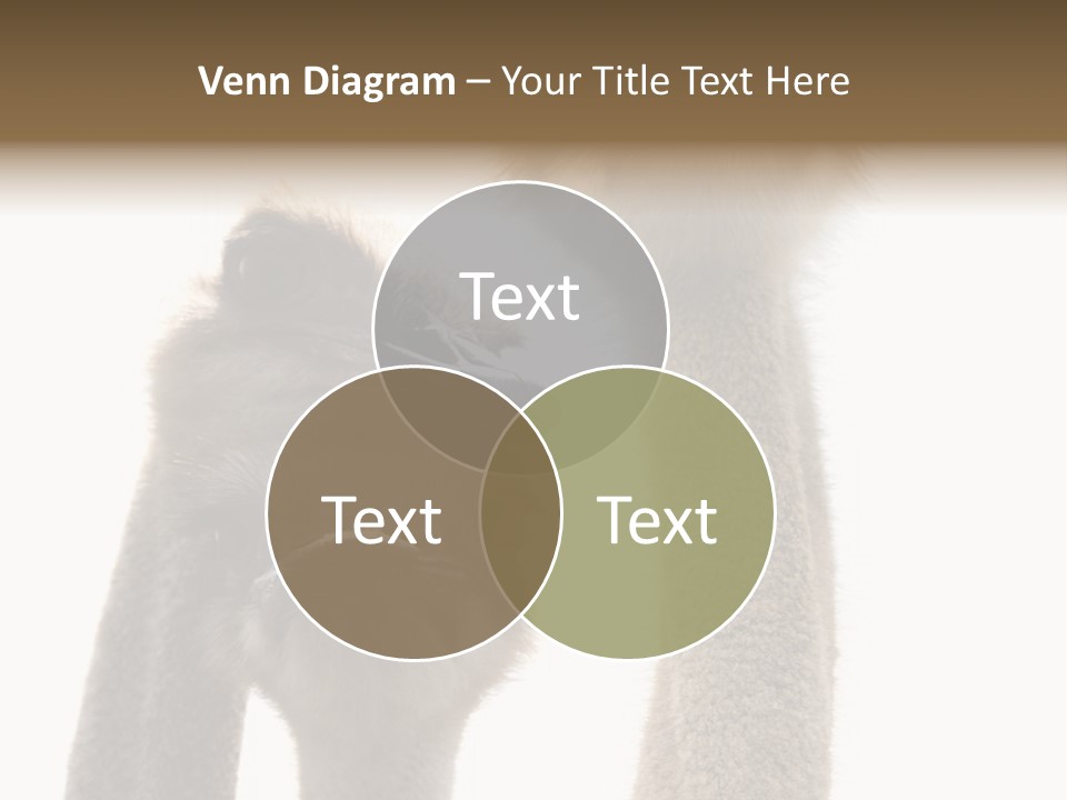 Curiosity Closeup Antilles PowerPoint Template