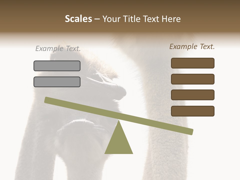Curiosity Closeup Antilles PowerPoint Template