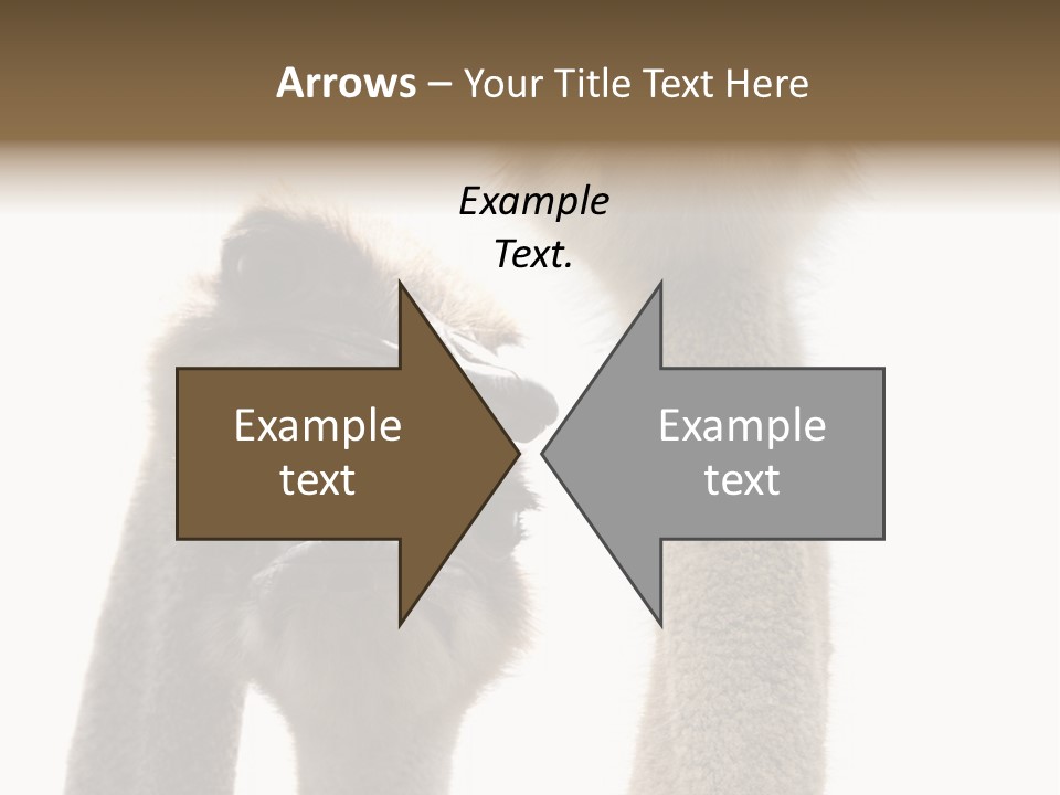 Curiosity Closeup Antilles PowerPoint Template