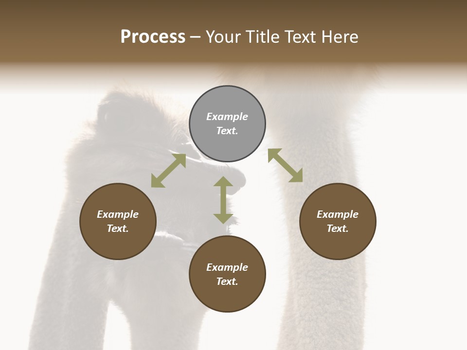 Curiosity Closeup Antilles PowerPoint Template