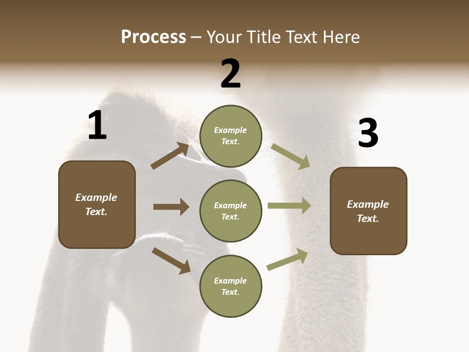 Curiosity Closeup Antilles PowerPoint Template