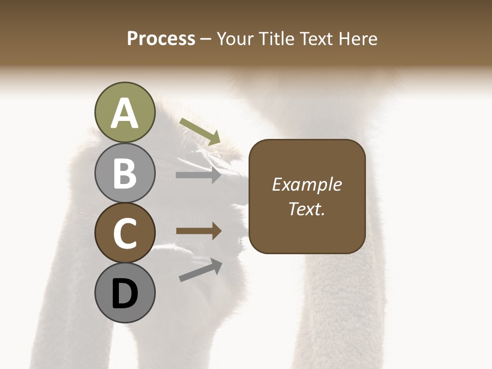 Curiosity Closeup Antilles PowerPoint Template