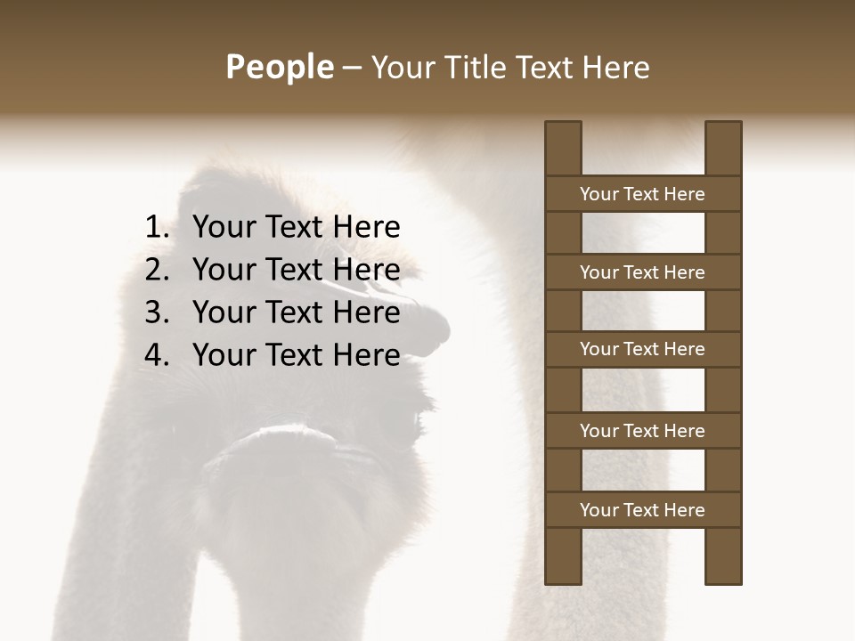 Curiosity Closeup Antilles PowerPoint Template