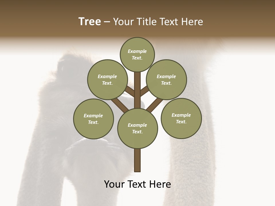 Curiosity Closeup Antilles PowerPoint Template