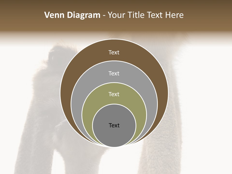 Curiosity Closeup Antilles PowerPoint Template
