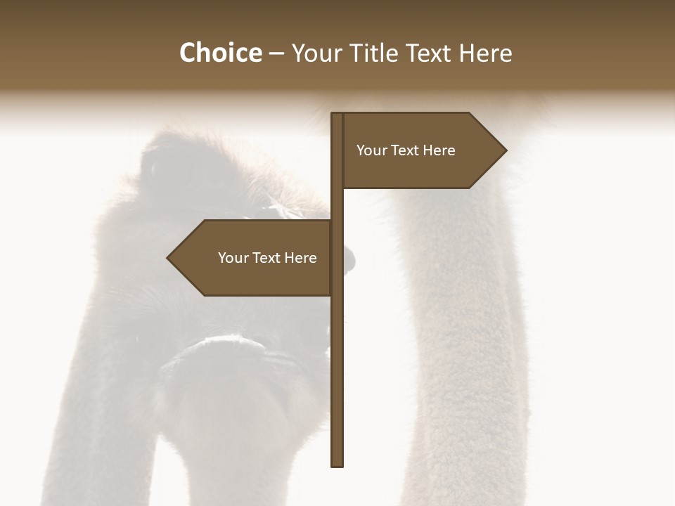 Curiosity Closeup Antilles PowerPoint Template