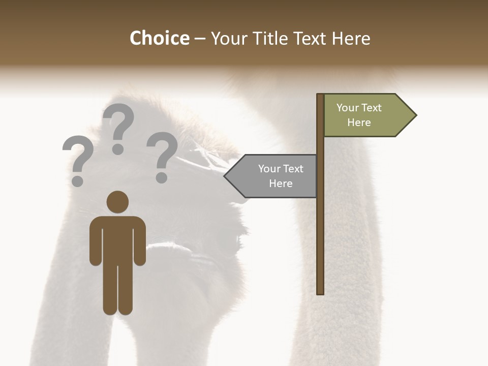 Curiosity Closeup Antilles PowerPoint Template