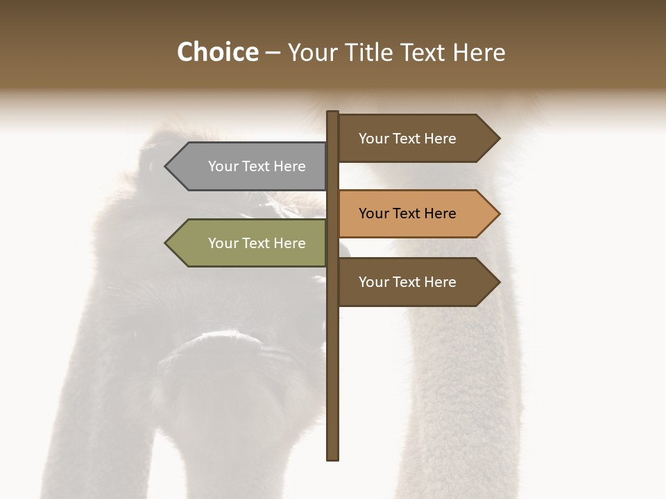 Curiosity Closeup Antilles PowerPoint Template