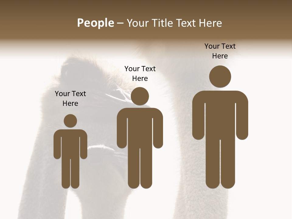 Curiosity Closeup Antilles PowerPoint Template