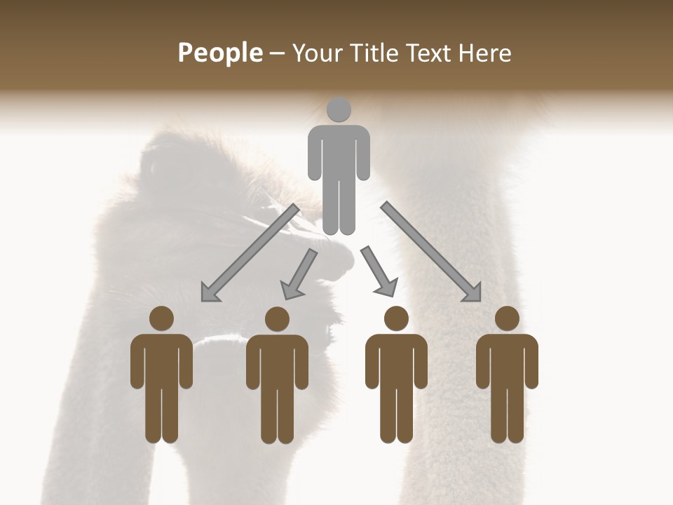 Curiosity Closeup Antilles PowerPoint Template