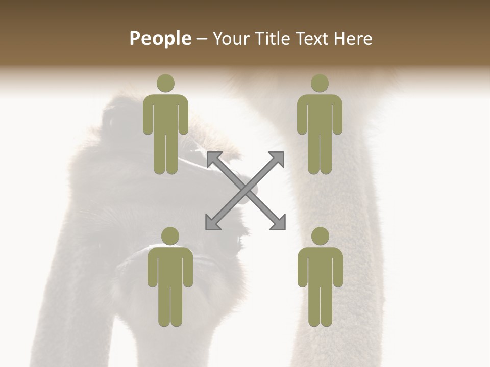 Curiosity Closeup Antilles PowerPoint Template