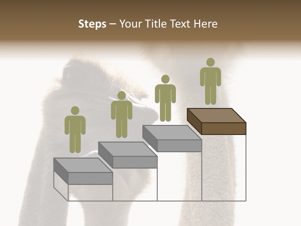 Curiosity Closeup Antilles PowerPoint Template