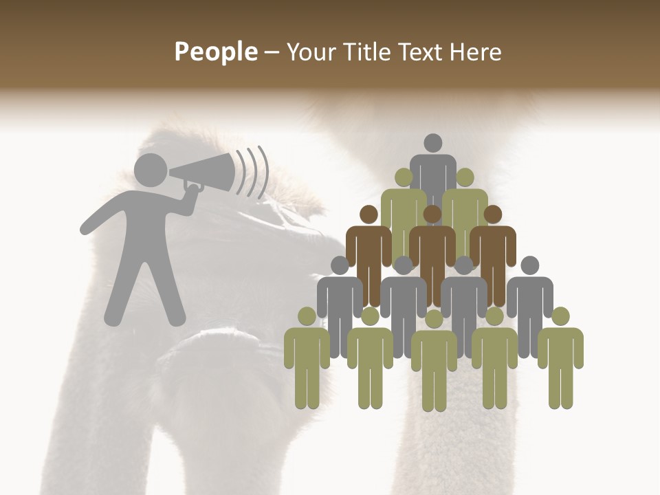 Curiosity Closeup Antilles PowerPoint Template