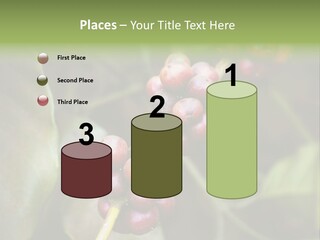 Coffee Bean Red PowerPoint Template