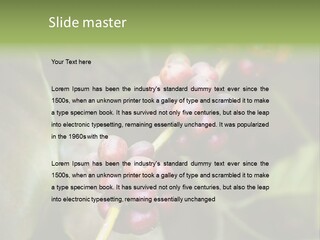 Coffee Bean Red PowerPoint Template