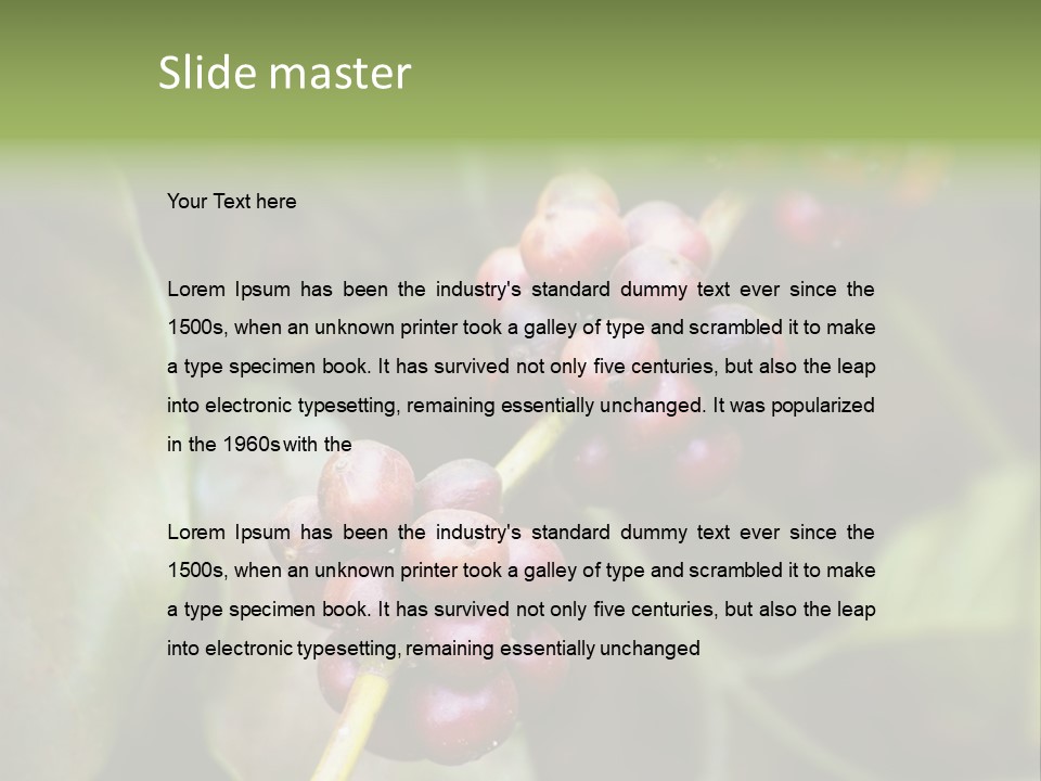 Coffee Bean Red PowerPoint Template