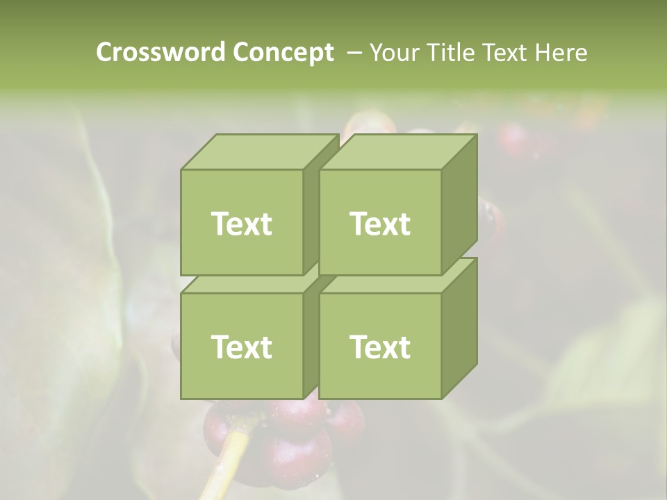 Coffee Bean Red PowerPoint Template