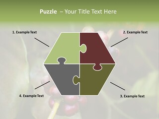 Coffee Bean Red PowerPoint Template