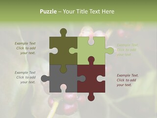 Coffee Bean Red PowerPoint Template