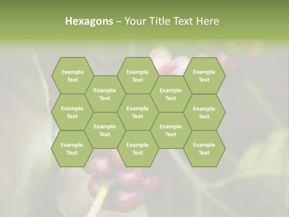 Coffee Bean Red PowerPoint Template