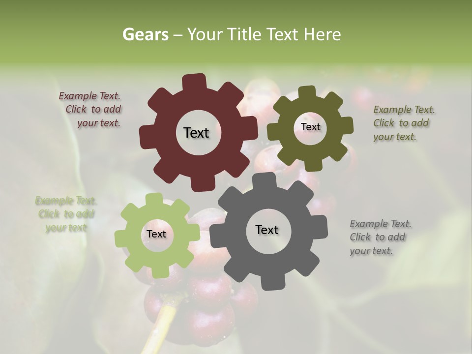 Coffee Bean Red PowerPoint Template