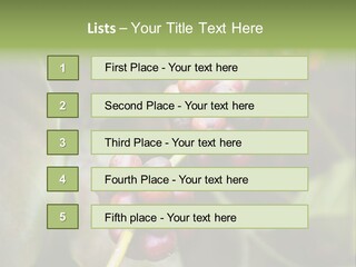 Coffee Bean Red PowerPoint Template