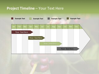 Coffee Bean Red PowerPoint Template