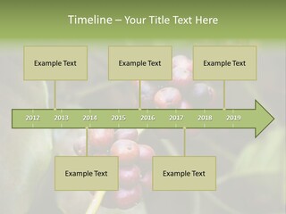 Coffee Bean Red PowerPoint Template