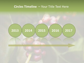 Coffee Bean Red PowerPoint Template