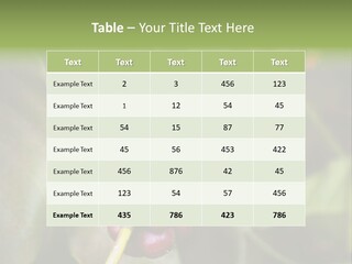 Coffee Bean Red PowerPoint Template
