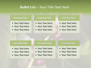 Coffee Bean Red PowerPoint Template