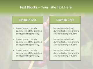 Coffee Bean Red PowerPoint Template