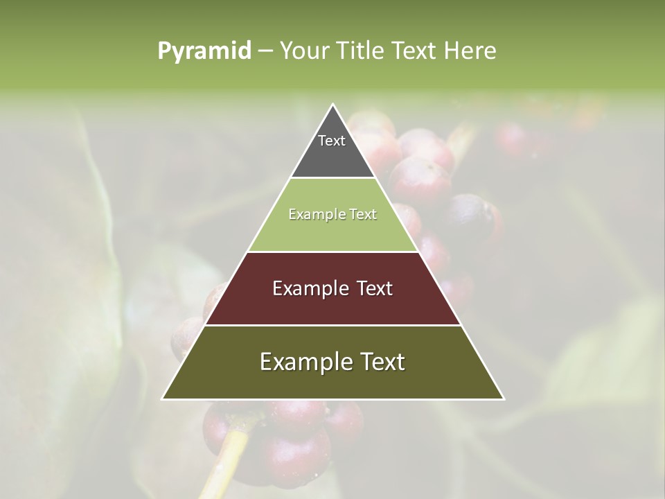 Coffee Bean Red PowerPoint Template