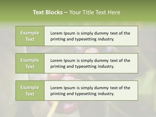 Coffee Bean Red PowerPoint Template