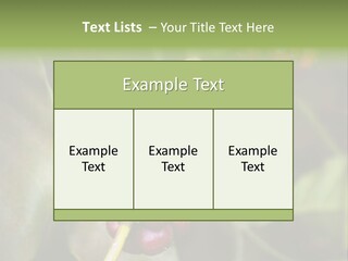 Coffee Bean Red PowerPoint Template