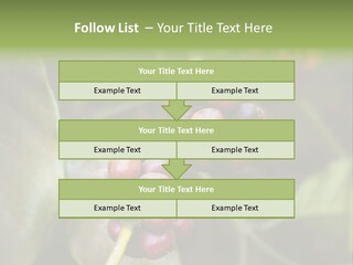 Coffee Bean Red PowerPoint Template