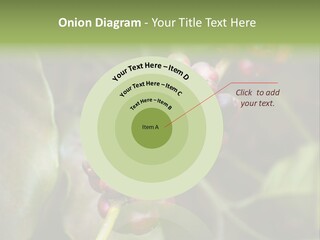 Coffee Bean Red PowerPoint Template