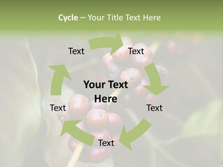 Coffee Bean Red PowerPoint Template