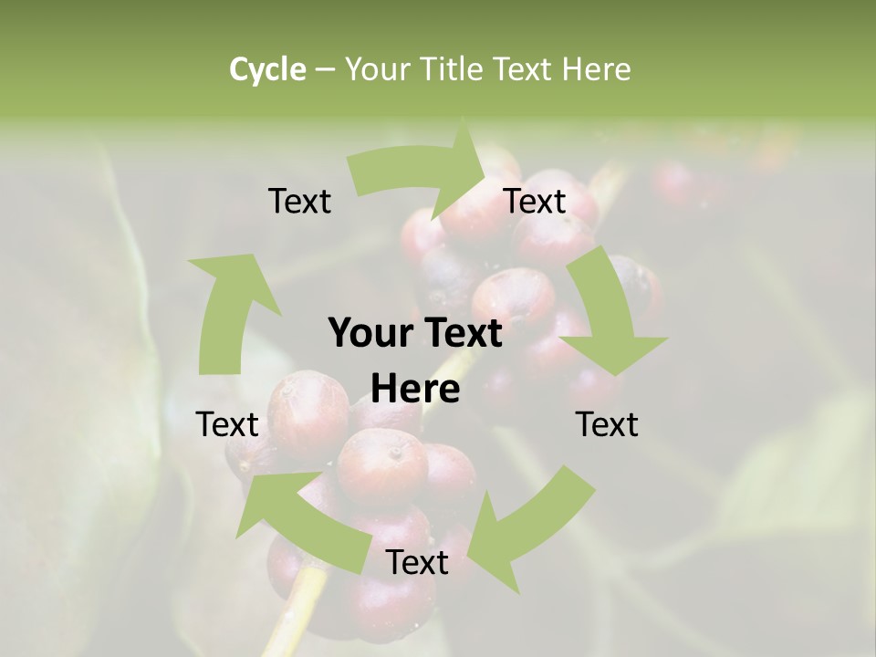 Coffee Bean Red PowerPoint Template