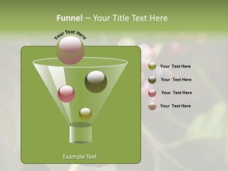 Coffee Bean Red PowerPoint Template