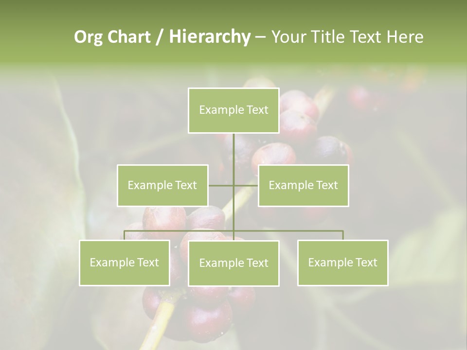 Coffee Bean Red PowerPoint Template