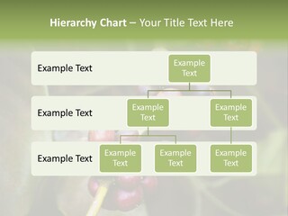 Coffee Bean Red PowerPoint Template